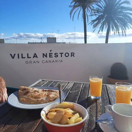 Nestor Couette-café Ingenio