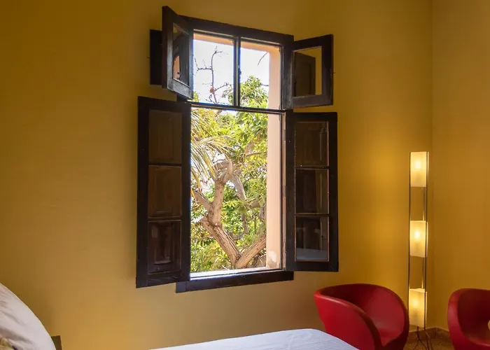 Bed & Breakfast Nestor Ingenio