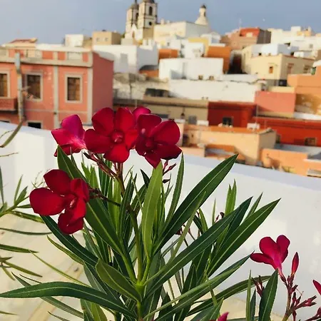 Bed & Breakfast Nestor Ingenio