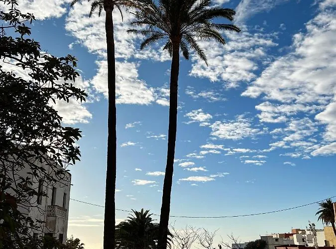 Nestor Frühstückspension